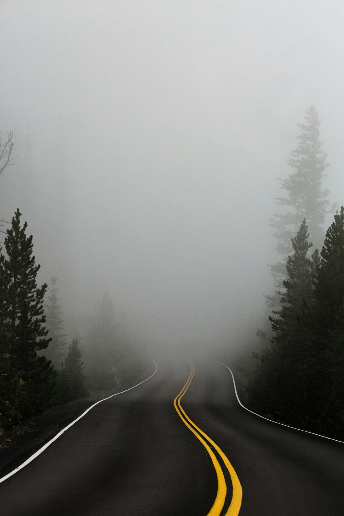 Camino cubierto de niebla entre árboles: sensación de irrealidad y desconexión en la adolescencia
