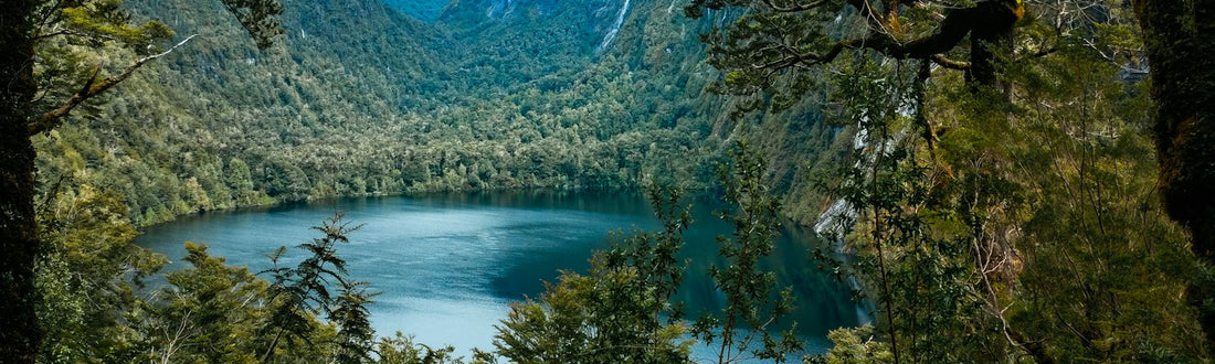 Árboles junto a un lago: ansiedad por pruebas y notas en adolescentes